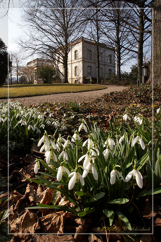 Fr�hling im Park Monrepos