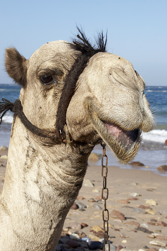 Bitte l�cheln..;-))