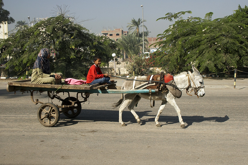 (049) Fr�hliche Fahrt...